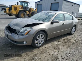 2006 Nissan Maxima SL with VIN 1N4BA41E36C845087, listed as a Copart auction lot 61875455 with 61,872 mi miles and Salvage title. Bid and sale history available at DreamBid. Image 1.