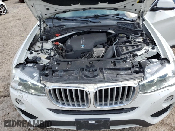 2017 BMW X4 xDrive28i with VIN 5UXXW3C35H0T79141, listed as a Copart auction lot 48418794 with 119,257 mi miles. Bid and sale history available at carsss.com. Image 12.