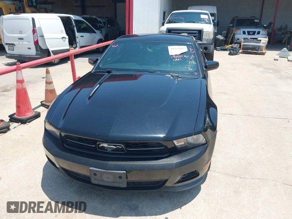 2012 Ford Mustang Premium with VIN 1ZVBP8AM0C5221428, listed as a IAAI auction lot 42273202 with 196,402 mi miles and . Bid and sale history available at DreamBid. Image 12.