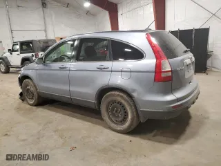 2010 Honda CR-V EX-L with VIN JHLRE4H73AC013054, listed as a Copart auction lot 50491595 with 123,121 mi miles and Salvage Title. Bid and sale history available at carsss.com. Image 2.