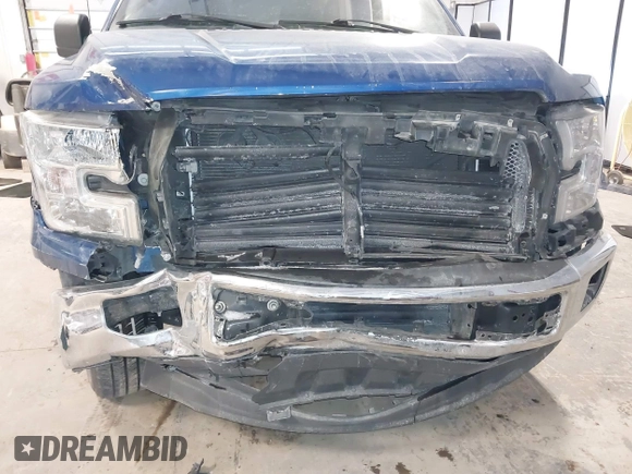 2017 Ford F-150 XL with VIN 1FTEW1CPXHKC39588, listed as a IAAI auction lot 41395138 with 140,989 mi miles and . Bid and sale history available at DreamBid. Image 6.