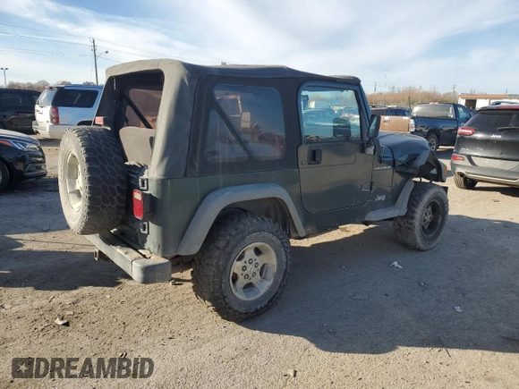 2002 Jeep Wrangler SE with VIN 1J4FA29P72P723223, listed as a Copart auction lot 80833004 with Not Provided miles and Salvage Title. Bid and sale history available at DreamBid. Image 3.