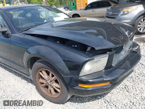 2007 Ford Mustang Deluxe with VIN 1ZVFT80N875226941, listed as a IAAI auction lot 42054190 with 183,155 mi miles. Bid and sale history available at carsss.com. Image 14.