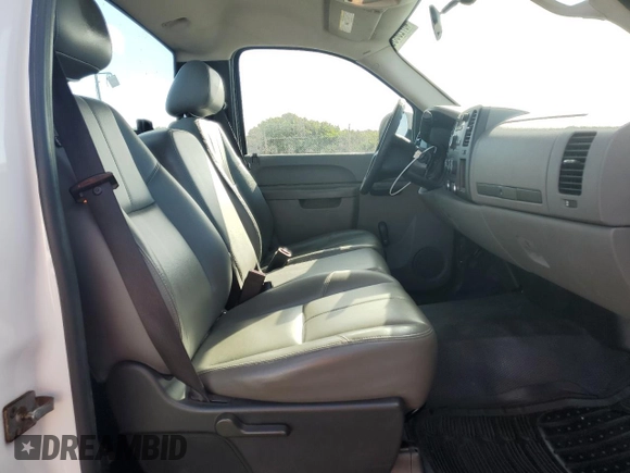 2010 Chevrolet Silverado 1500 Work Truck with VIN 1GCPCPEX2AZ171799, listed as a Copart auction lot 46720655 with 159,542 mi miles and Salvage Title. Bid and sale history available at DreamBid. Image 10.
