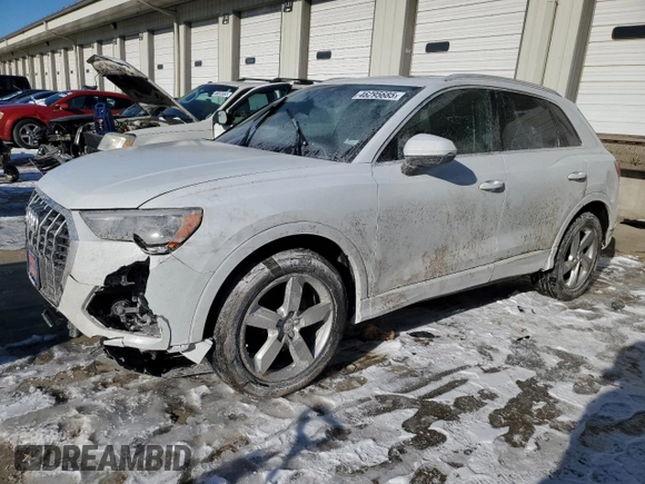 2020 Audi Q3 Premium with VIN WA1AECF38L1024869, listed as a Copart auction lot 46295685 with 124,720 mi miles and Salvage Title. Bid and sale history available at carsss.com. Image 1.