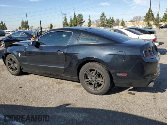 2014 Ford Mustang V6 with VIN 1ZVBP8AM9E5254818, listed as a Copart auction lot 49881225 with 149,665 mi miles and Salvage Title. Bid and sale history available at DreamBid. Image 2.