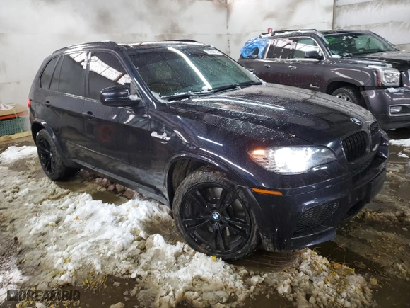 2010 BMW X5 M with VIN 5YMGY0C58ALK25417, listed as a Copart auction lot 79769774 with 174,765 mi miles and Salvage Title. Bid and sale history available at carsss.com. Image 4.