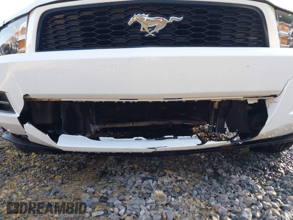 2010 Ford Mustang V6 with VIN 1ZVBP8AN7A5155689, listed as a IAAI auction lot 41775195 with 179,353 mi miles and . Bid and sale history available at DreamBid. Image 6.