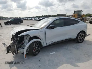 2023 Ford Mustang Mach-E GT with VIN 3FMTK4SE1PMA57270, listed as a Copart auction lot 54313464 with Not Provided miles and Non Repairable. Bid and sale history available at DreamBid. Image 1.