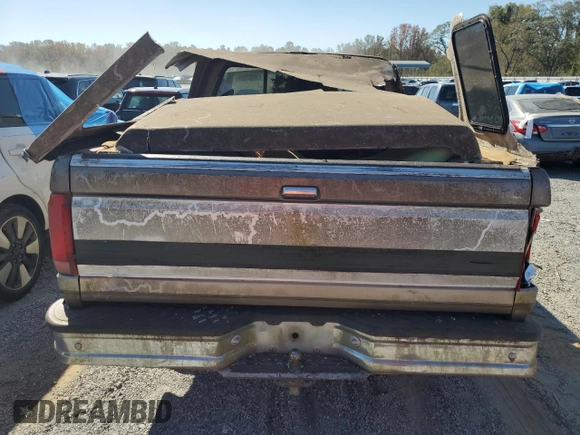 1992 Ford F-150 with VIN 1FTEX15N5NKA92195, listed as a Copart auction lot 74063034 with 273,388 mi miles and Salvage Title. Bid and sale history available at carsss.com. Image 6.