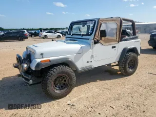 1994 Jeep Wrangler S with VIN 1J4FY19P7RP456715, listed as a Copart auction lot 61417195 with 122,250 mi miles and Clean title. Bid and sale history available at DreamBid. Image 1.