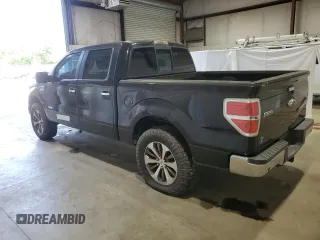 2013 Ford F-150 XL with VIN 1FTFW1CT0DKD05738, listed as a Copart auction lot 52412215 with 253,949 mi miles and Clean Title. Bid and sale history available at carsss.com. Image 2.