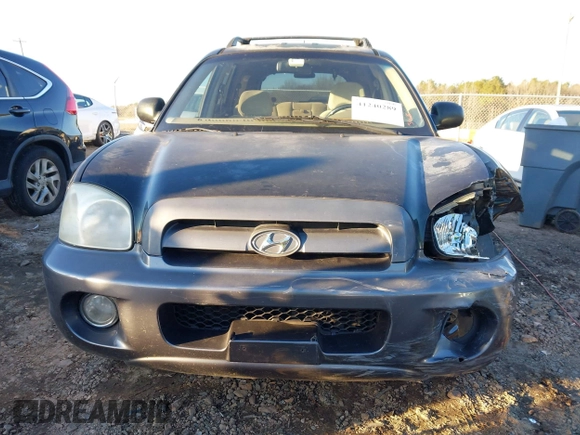 2006 Hyundai Santa Fe GLS with VIN KM8SC13D36U100031, listed as a IAAI auction lot 41240289 with 189,195 mi miles. Bid and sale history available at carsss.com. Image 12.