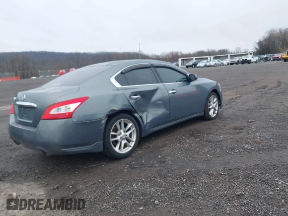 2009 Nissan Maxima SV with VIN 1N4AA51E89C853918, listed as a IAAI auction lot 41956138 with 116,410 mi miles and . Bid and sale history available at DreamBid. Image 4.