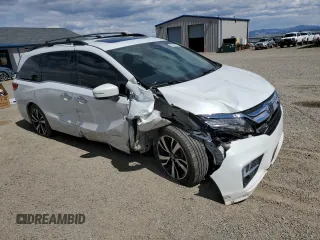 2020 Honda Odyssey Elite with VIN 5FNRL6H91LB015309, listed as a Copart auction lot 53560145 with 44,194 mi miles and Salvage title. Bid and sale history available at DreamBid. Image 4.