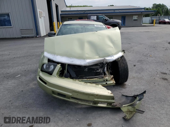 2005 Ford Mustang Deluxe with VIN 1ZVFT80N855113293, listed as a Copart auction lot 59944855 with Not provided miles and Salvage title. Bid and sale history available at DreamBid. Image 5.