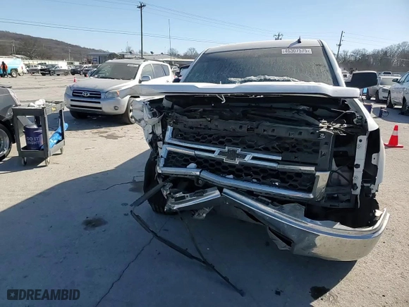 2014 Chevrolet Silverado 1500 Work Truck with VIN 1GCRCPEH8EZ125708, listed as a Copart auction lot 46307575 with 232,988 mi miles and Salvage Title. Bid and sale history available at carsss.com. Image 11.