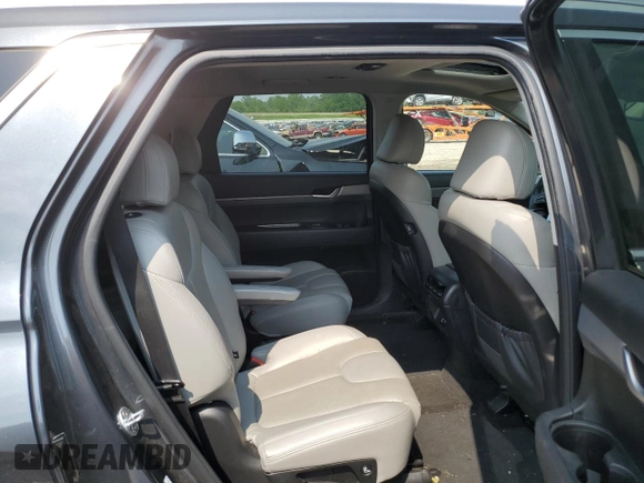 2020 Hyundai Palisade SEL with VIN KM8R2DHE0LU069644, listed as a Copart auction lot 59592405 with 78,198 mi miles and Salvage title. Bid and sale history available at DreamBid. Image 11.