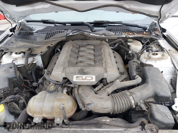 2016 Ford Mustang GT with VIN 1FA6P8CF6G5323444, listed as a IAAI auction lot 42500197 with Not provided miles and . Bid and sale history available at DreamBid. Image 10.