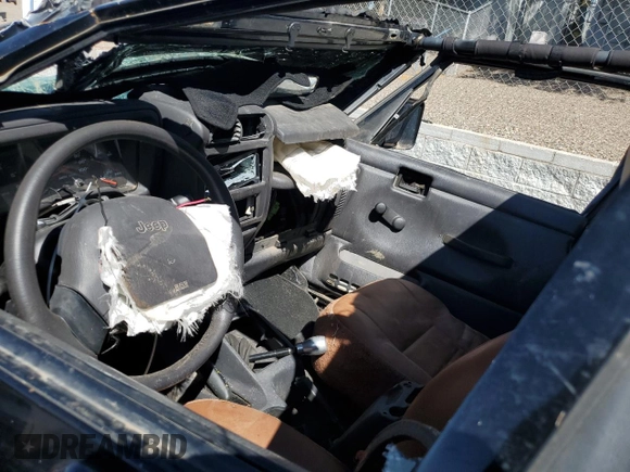 2002 Jeep Wrangler X with VIN 1J4FA39S12P748127, listed as a Copart auction lot 66538073 with Not Provided miles and Non Repairable. Bid and sale history available at carsss.com. Image 8.