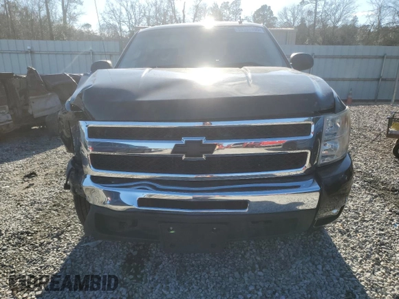 2010 Chevrolet Silverado 1500 LT with VIN 3GCRCSEA8AG178893, listed as a Copart auction lot 89167855 with 117,297 mi miles and Salvage Title. Bid and sale history available at DreamBid. Image 5.