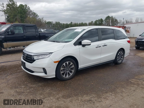 2022 Honda Odyssey EX-L with VIN 5FNRL6H76NB002248, listed as a IAAI auction lot 41818243 with 32,952 mi miles and . Bid and sale history available at DreamBid. Image 21.