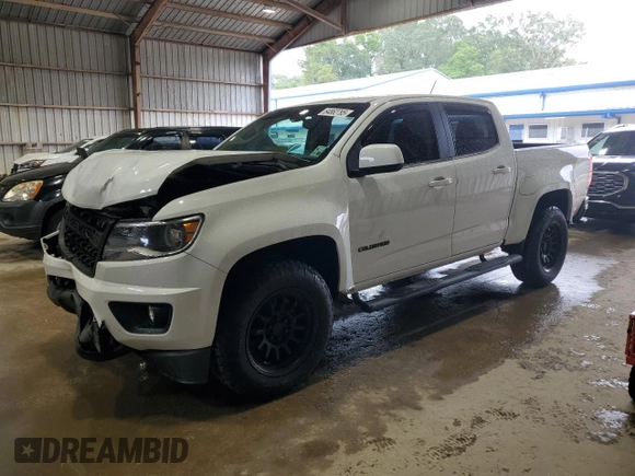 2019 Chevrolet Colorado 2WD LT with VIN 1GCGSCEN3K1169649, listed as a Copart auction lot 64862795 with 64,018 mi miles and Salvage title. Bid and sale history available at DreamBid. Image 1.