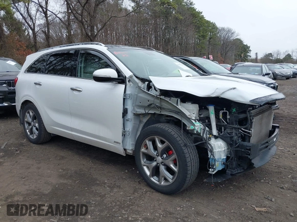 2018 Kia Sorento SX with VIN 5XYPKDA51JG405998, listed as a IAAI auction lot 41837641 with 138,909 mi miles and . Bid and sale history available at carsss.com. Image 6.