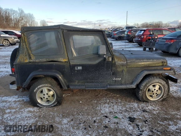 1995 Jeep Wrangler with VIN 1J4FY29S3SP289771, listed as a Copart auction lot 41522295 with 104,270 mi miles and Clean Title. Bid and sale history available at carsss.com. Image 3.