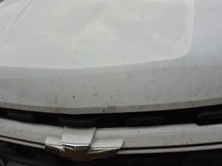 2022 Chevrolet Colorado 4WD LT с VIN 1GCGTCEN4N1302629, выставлен на аукционе IAAI как лот 42561509 с пробегом 84 691 миль миль и . История ставок и продаж доступна на DreamBid. Изображение 24.