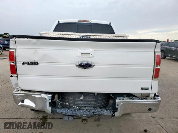 2010 Ford F-150 XL with VIN 1FTFW1EV9AFB45006, listed as a Copart auction lot 59585915 with 219,756 mi miles and Salvage title. Bid and sale history available at DreamBid. Image 6.