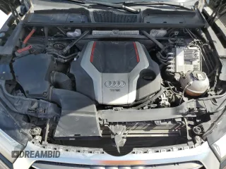 2019 Audi SQ5 Premium Plus with VIN WA1B4AFY2K2001281, listed as a Copart auction lot 56483835 with 24,524 mi miles and Clean Title. Bid and sale history available at DreamBid. Image 12.