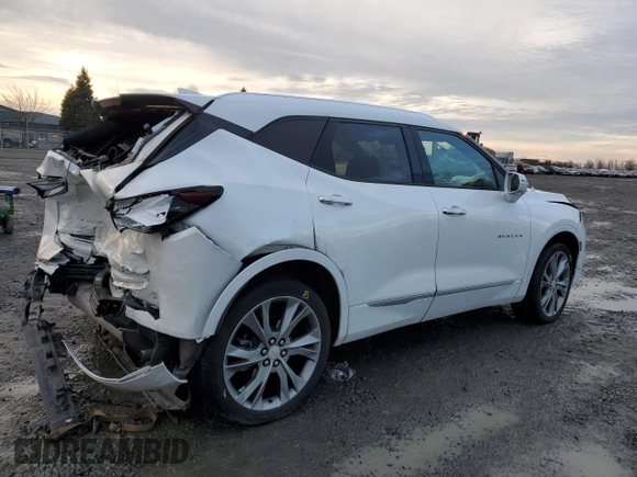 2019 Chevrolet Blazer Premier with VIN 3GNKBFRS9KS700290, listed as a Copart auction lot 87919295 with 58,191 mi miles and Salvage title. Bid and sale history available at DreamBid. Image 3.