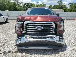 2016 Ford F-150 XL with VIN 1FTEX1CP3GFB07499, listed as a Copart auction lot 61223825 with 149,979 mi miles and Salvage title. Bid and sale history available at DreamBid. Image 5.
