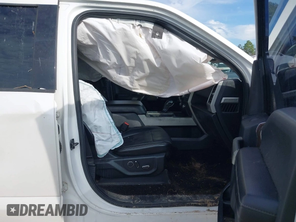 2017 Ford F-150 XL with VIN 1FTEW1EG5HFC49810, listed as a IAAI auction lot 41452273 with 174,020 mi miles. Bid and sale history available at carsss.com. Image 5.