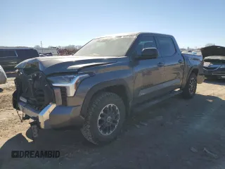 2023 Toyota Tundra SR5 with VIN 5TFLA5DB3PX113428, listed as a Copart auction lot 46691685 with 44,820 mi miles and Salvage title. Bid and sale history available at DreamBid. Image 1.