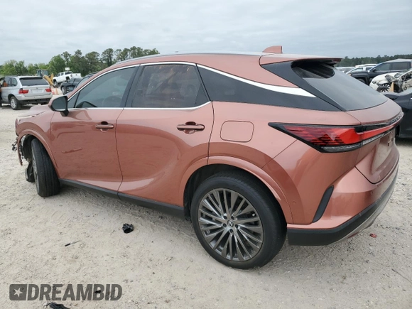 2023 Lexus RX with VIN 2T2BBMCA5PC014034, listed as a Copart auction lot 53158245 with 9,338 mi miles and Salvage Title. Bid and sale history available at carsss.com. Image 2.