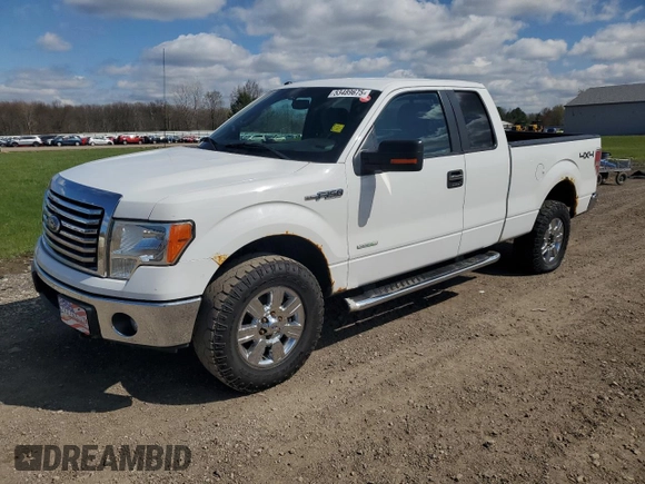 2012 Ford F-150 XL with VIN 1FTFX1ET1CFA54830, listed as a Copart auction lot 53489675 with 135,845 mi miles and Clean title. Bid and sale history available at DreamBid. Image 1.