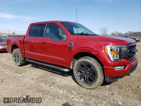 2022 Ford F-150 XL with VIN 1FTEW1EP3NFA79541, listed as a Copart auction lot 49204215 with 54,992 mi miles and Salvage Title. Bid and sale history available at DreamBid. Image 4.