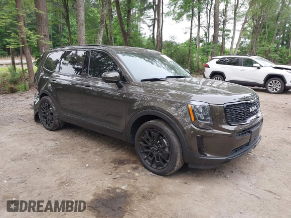 2022 Kia Telluride EX z VIN 5XYP3DHC6NG304172, wystawiony jako IAAI lot #42377593 z przebiegiem 46 013 mil mil oraz . Historia ofert i sprzedaży dostępna na DreamBid. Obrazek 1.