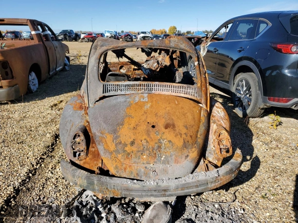 1969 Volkswagen Beetle with VIN 119732081, listed as a Copart auction lot 73503964 with Not Provided miles and Non Repairable. Bid and sale history available at DreamBid. Image 6.