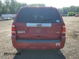 2010 Ford Escape Limited with VIN 1FMCU9EG0AKA79585, listed as a Copart auction lot 61580715 with Not provided miles and Salvage title. Bid and sale history available at DreamBid. Image 6.