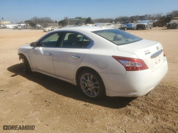 2010 Nissan Maxima 3.5 SV w/Premium Pkg with VIN 1N4AA5AP5AC859147, listed as a Copart auction lot 46687155 with 247,975 mi miles and Salvage Title. Bid and sale history available at carsss.com. Image 2.