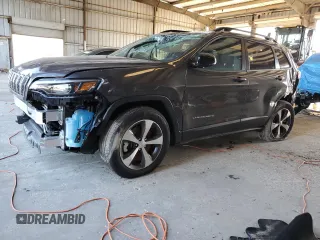 2022 Jeep Cherokee Limited with VIN 1C4PJMDN1ND546203, listed as a Copart auction lot 73985844 with 8,357 mi miles and Salvage title. Bid and sale history available at DreamBid. Image 1.