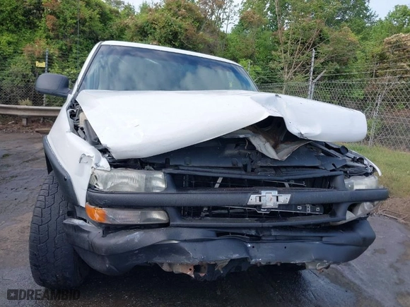 2001 Chevrolet Silverado 1500 LS with VIN 2GCEC19V511128712, listed as a IAAI auction lot 41060079 with 371,238 mi miles. Bid and sale history available at carsss.com. Image 6.