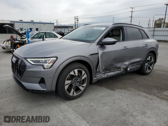 2022 Audi e-tron Premium with VIN WA1AABGE1NB022142, listed as a Copart auction lot 55533575 with 46,599 mi miles and Salvage Title. Bid and sale history available at DreamBid. Image 1.