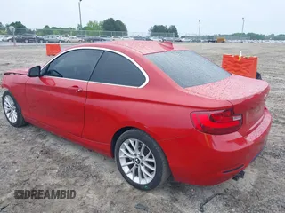 2016 BMW 2 Series 228i with VIN WBA1F9C54GV742703, listed as a IAAI auction lot 42209964 with 114,330 mi miles and . Bid and sale history available at DreamBid. Image 3.