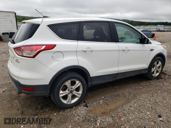 2013 Ford Escape SE with VIN 1FMCU0G91DUC27164, listed as a Copart auction lot 60989985 with 189,612 mi miles and Salvage title. Bid and sale history available at DreamBid. Image 3.