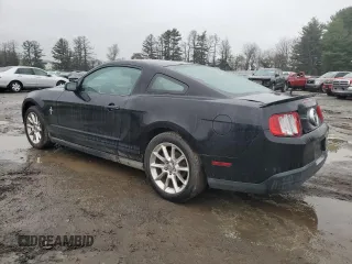 2010 Ford Mustang V6 with VIN 1ZVBP8AN3A5112855, listed as a Copart auction lot 49824275 with 161,778 mi miles and Salvage Title. Bid and sale history available at DreamBid. Image 2.