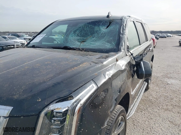 2019 Cadillac Escalade Luxury with VIN 1GYS3BKJ3KR254991, listed as a IAAI auction lot 41728759 with 65,267 mi miles. Bid and sale history available at carsss.com. Image 6.